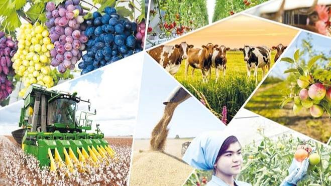 Процветание аграрной сферы Узбекистана зависит от союза дехкан, перерабатывающих компаний и ученых